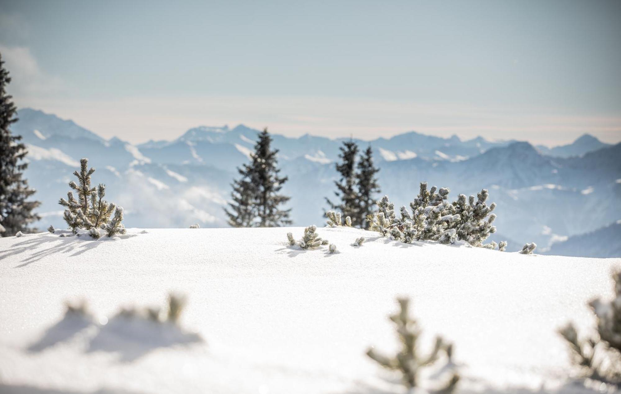 Haus Central Fieberbrunn By Alpine Host Helpers ภายนอก รูปภาพ